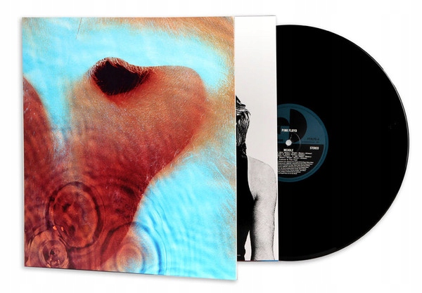 Pink Floyd Meddle (Remastered) (vinyl)