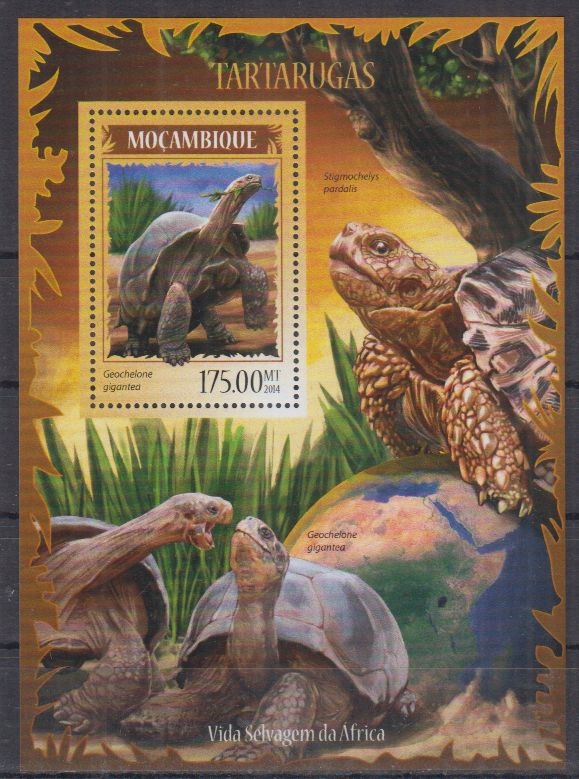 A72. Mozambik MNH 2014 Fauna - Żółwie