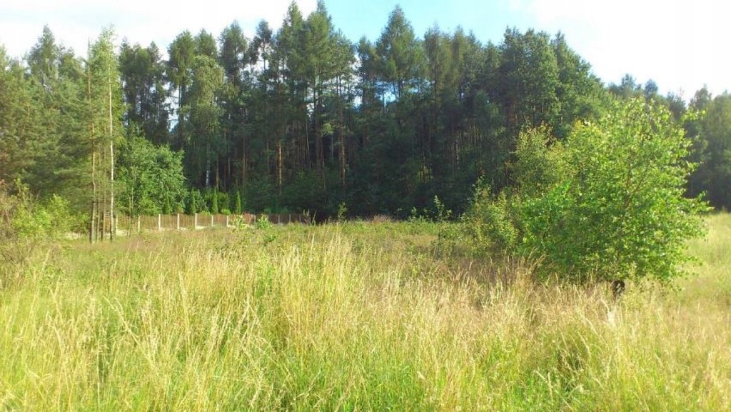 Działka, Miedziana Góra (gm.), 1800 m²