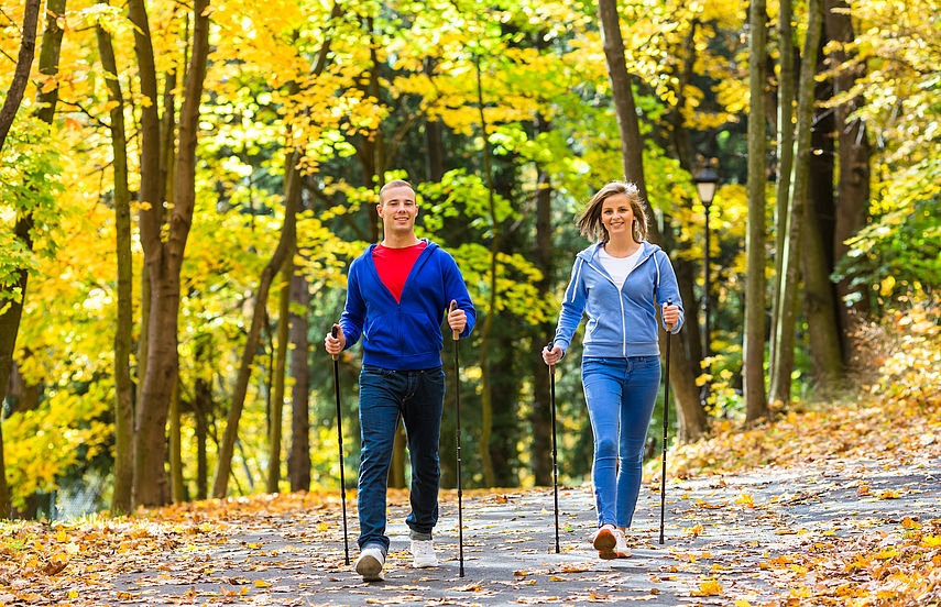 Купить Пробковые палки NORDIC WALKING, 2 шт, чехол, КОМПЛЕКТ: отзывы, фото, характеристики в интерне-магазине Aredi.ru