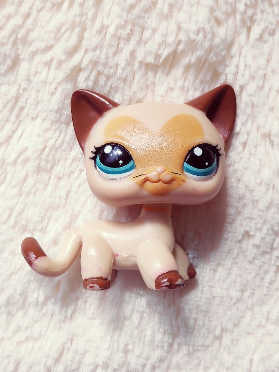 LPS Littlest Pet Shop kotek Shorthair unikat 3573 8363377238 oficjalne archiwum Allegro