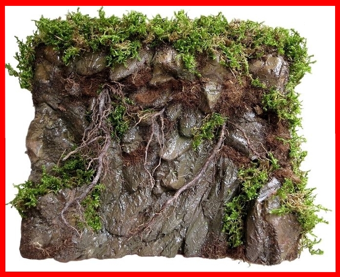 Купить Каменный фон для ЛЕСНОГО ТЕРРАРИУМА: отзывы, фото и ...