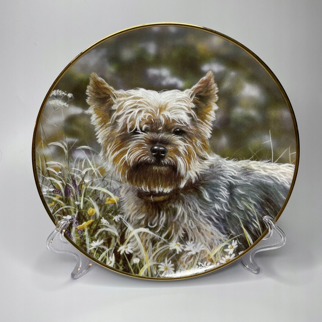 York z grzywką Pies Yorkshire Terrier na krześle talerz Danbury Mint