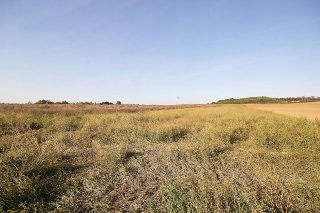 Działka, Męcinka (gm.), 7719 m²