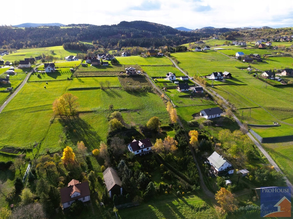 Działka, Pisarzowa, Limanowa (gm.), 3190 m²