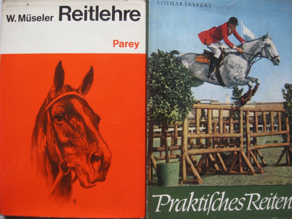 Jeździectwo Skoki przez przeszkody na koniu x2