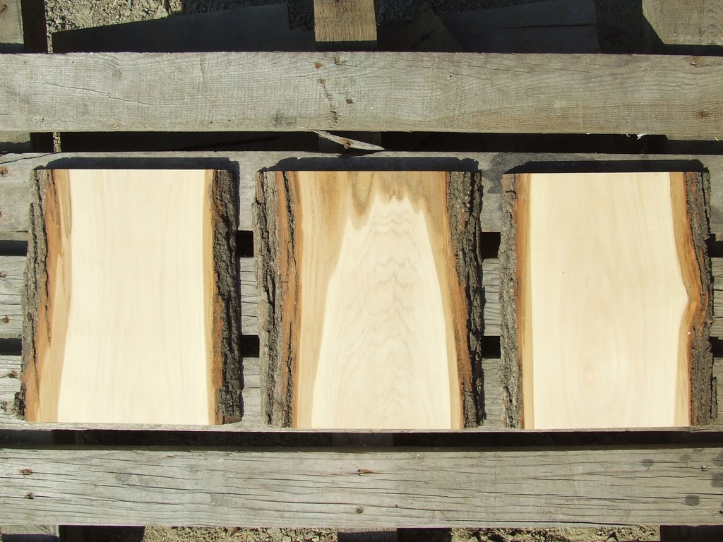 32 cm Kora - Lipa Deska lipowa z korą drewno