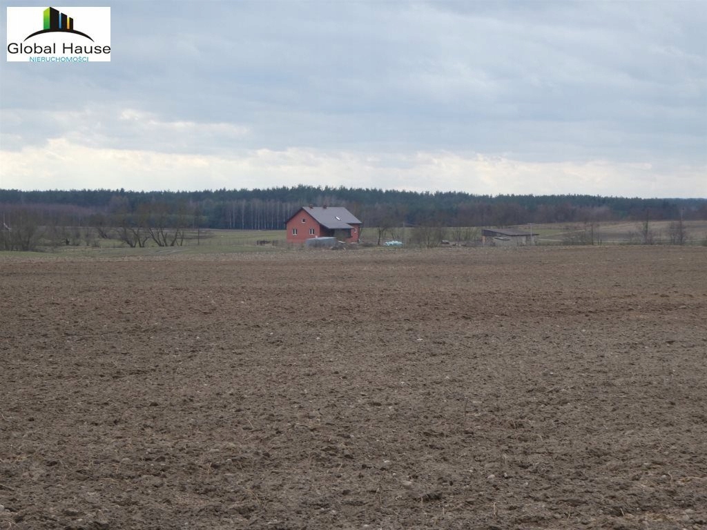 Działka, Nowe Drygały, Biała Piska (gm.), 30000 m²