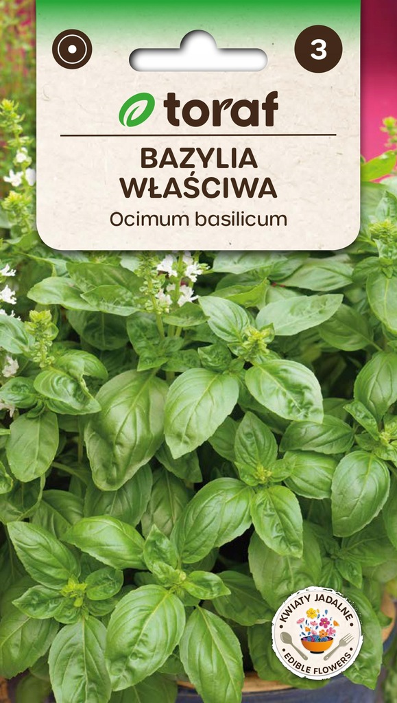 Nasiona Bazylia właściwa zioła 1g TORAF