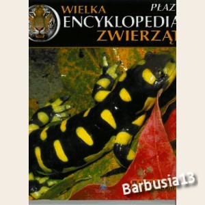 Wielka encyklopedia zwierząt. Płazy. tom 19