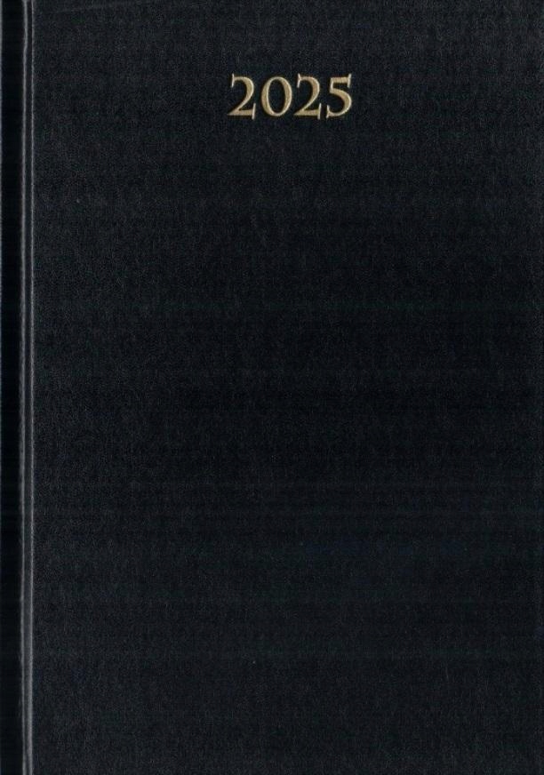 TERMINARZ 2025 DZIENNY A5 DIVAS CZARNY