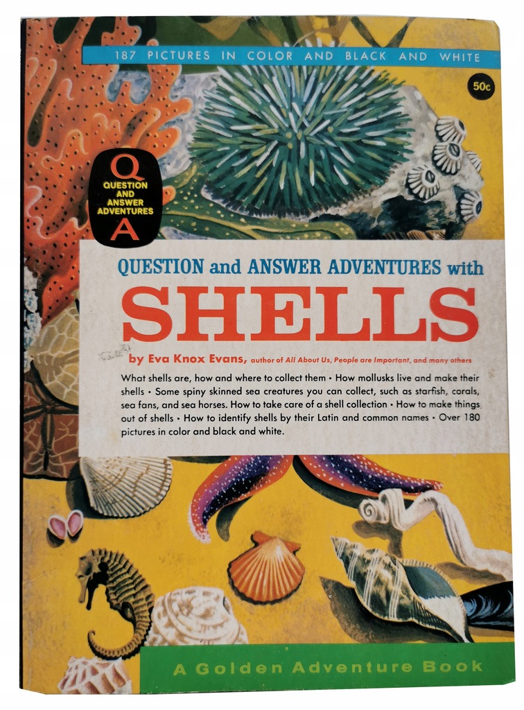 Question and answer adventures with SHELLS