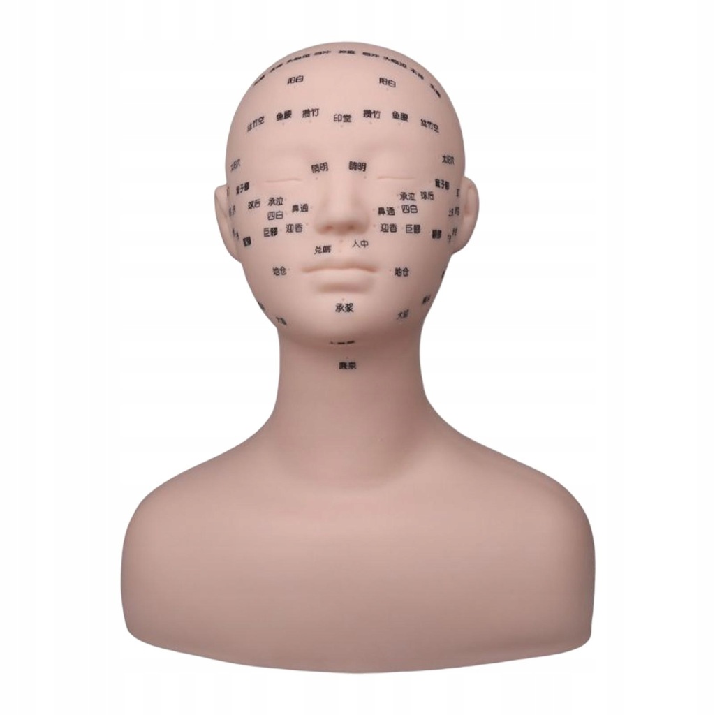 Wielofunkcyjny manekin treningowy dla