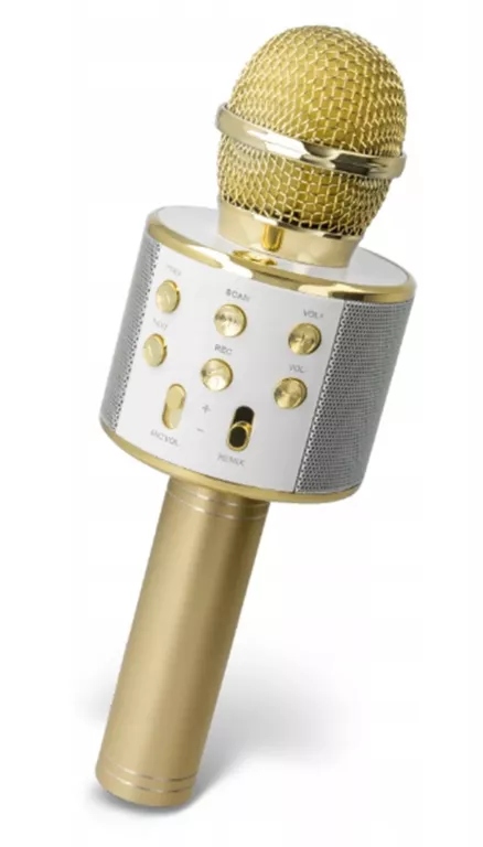 MIKROFON Z GŁÓŚNIKIEM SETTY BM-100 ZŁOTY