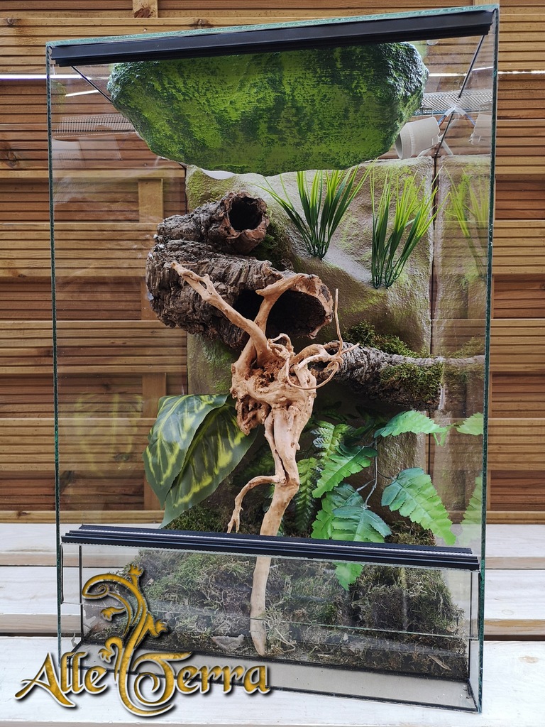 Terrarium szklane o leśnym wystroju 40x40x60 cm