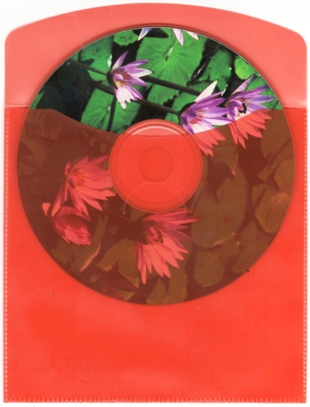 Купить MEMOREX Colorful STRONG конверты для CD/DVD 50 шт.: отзывы, фото, характеристики в интерне-магазине Aredi.ru