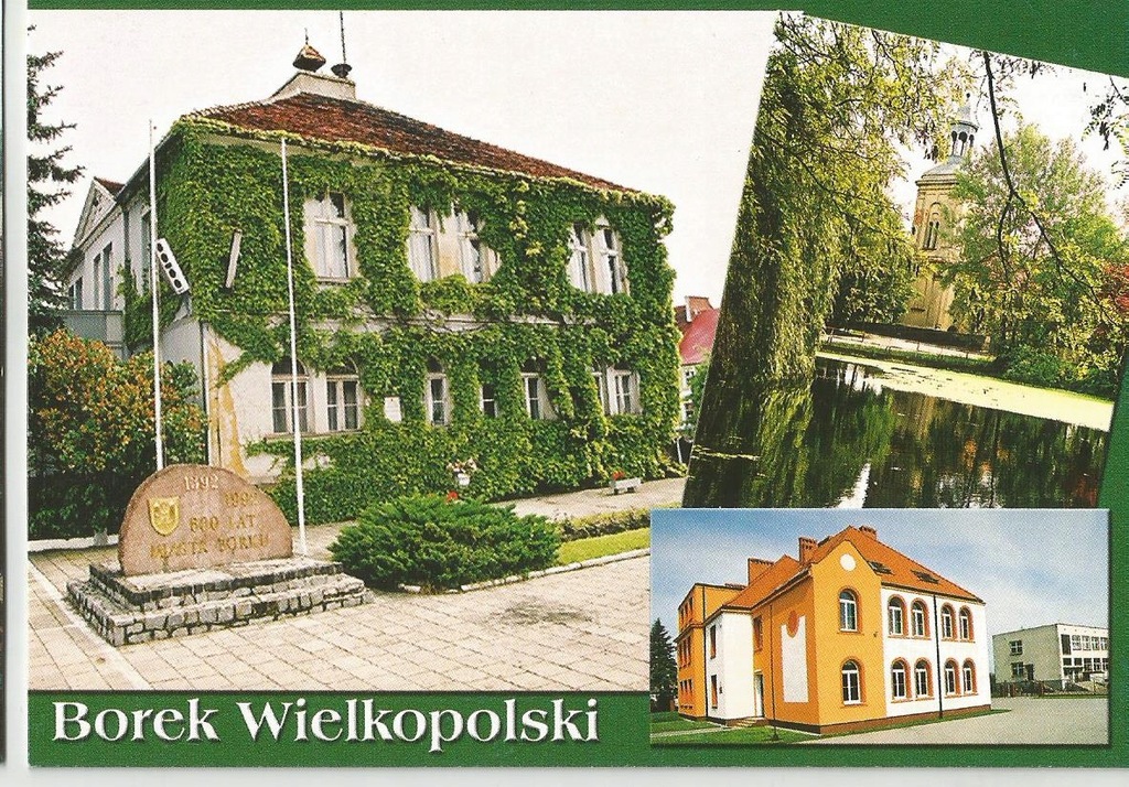 BOREK WIELKOPOLSKI