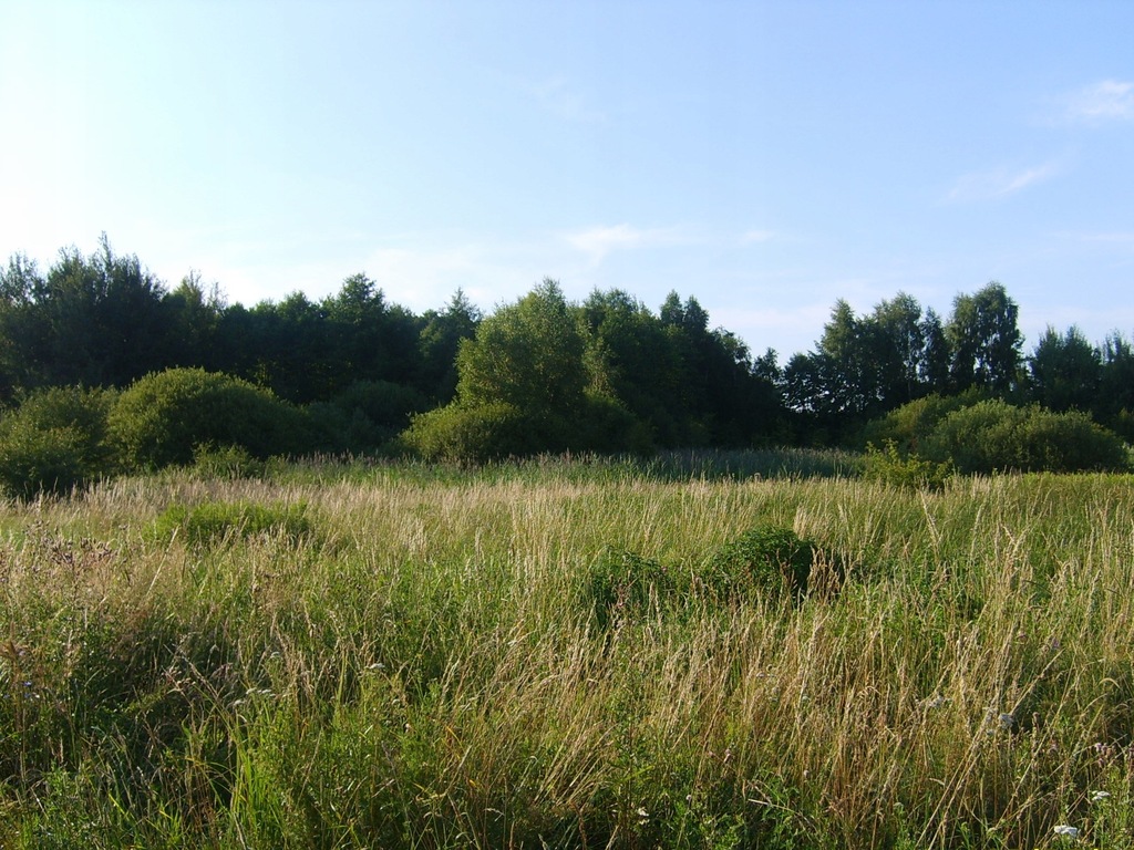 Działka 21 km od Wrocławia w Golędzinowie, 10zł/m2