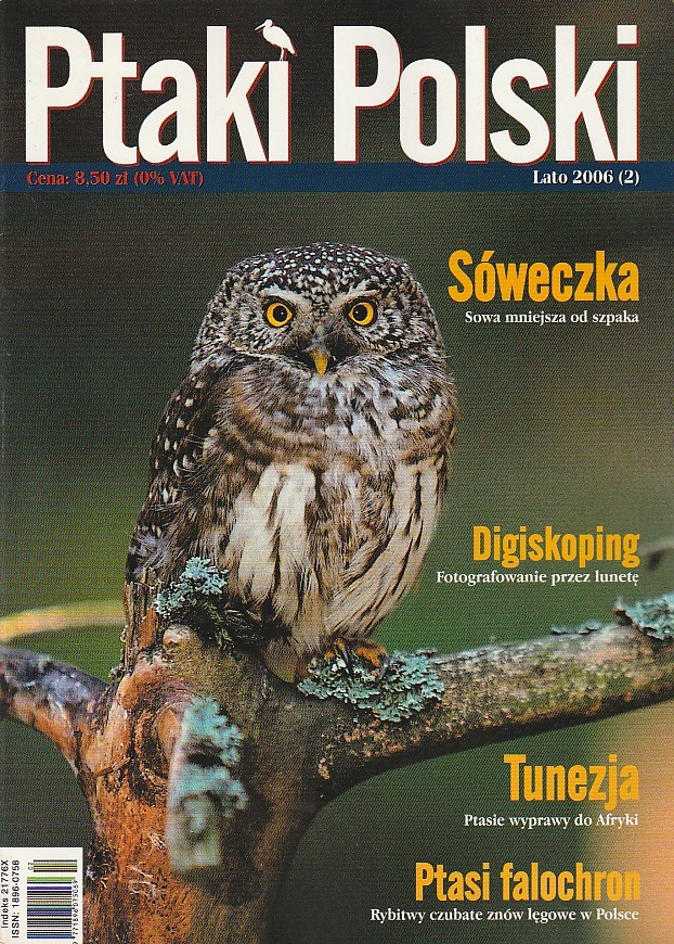 PTAKI POLSKI LATO 2006 /2/ SÓWECZKA