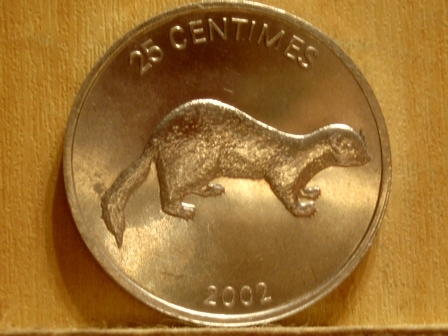 KONGO DEM.- 25 centów 2002, wydra, UNC !
