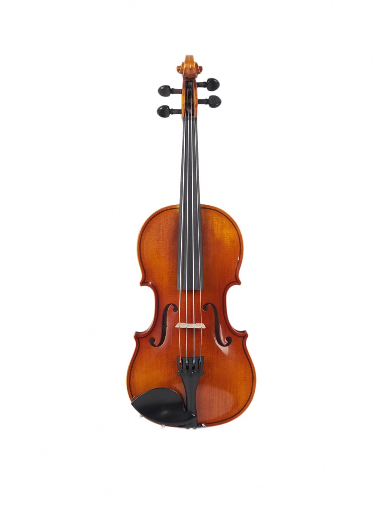 Strunal Academy Udine 175WA Stradivari 1/4