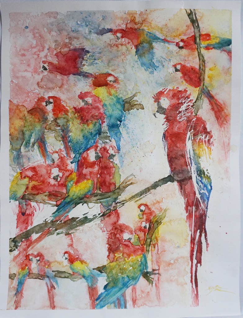 Akwarela malarstwo papugi - obraz sygnowany, oryginalny