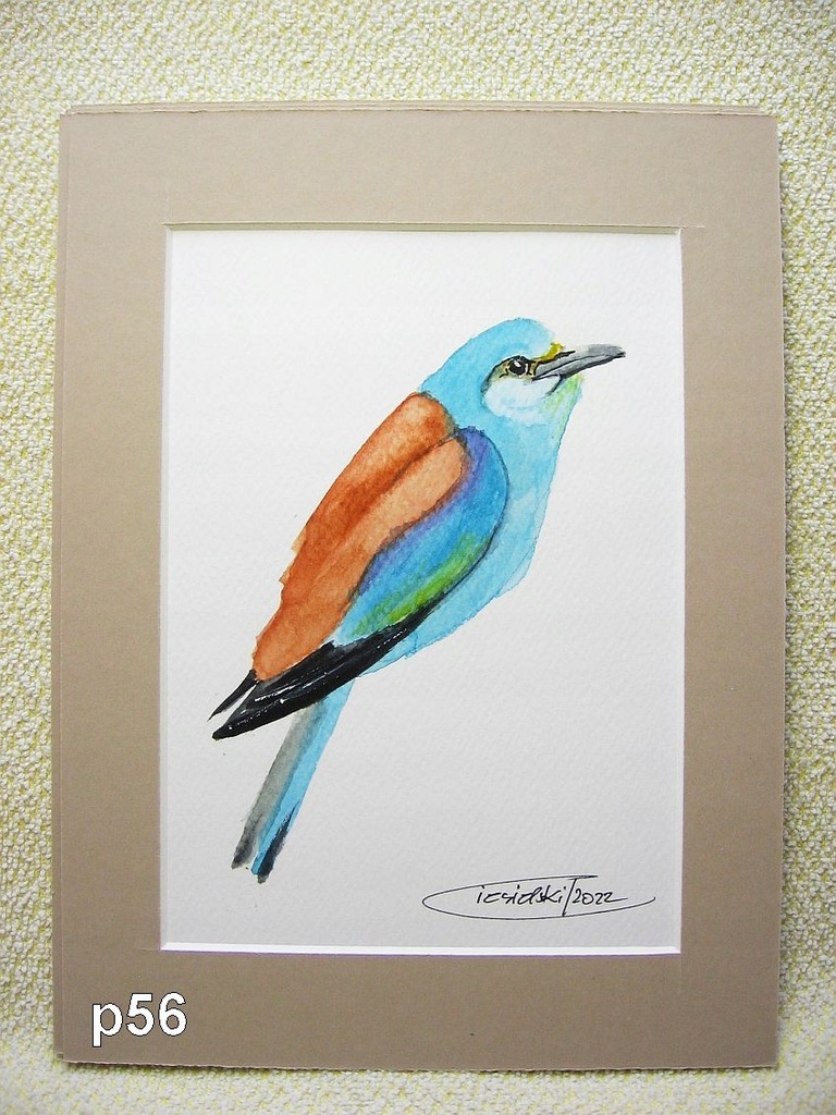 Obraz - Ptaki Polski - KRASKA - 18 x 24 cm