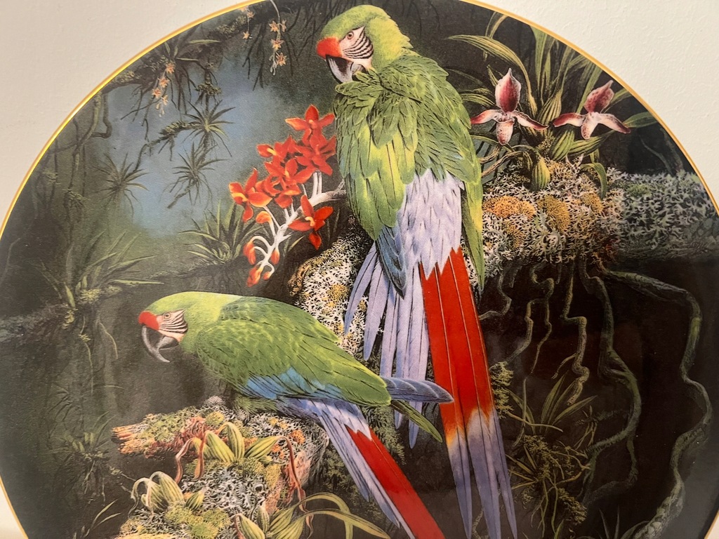 TALERZ WEDGWOOD BUFFON'S MACAWS FRAGILE PARADISE