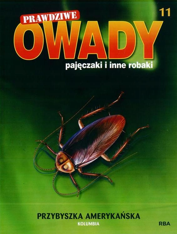 PRAWDZIWE OWADY, PAJĘCZAKI nr 11 PRZYBYSZKA AMERYK