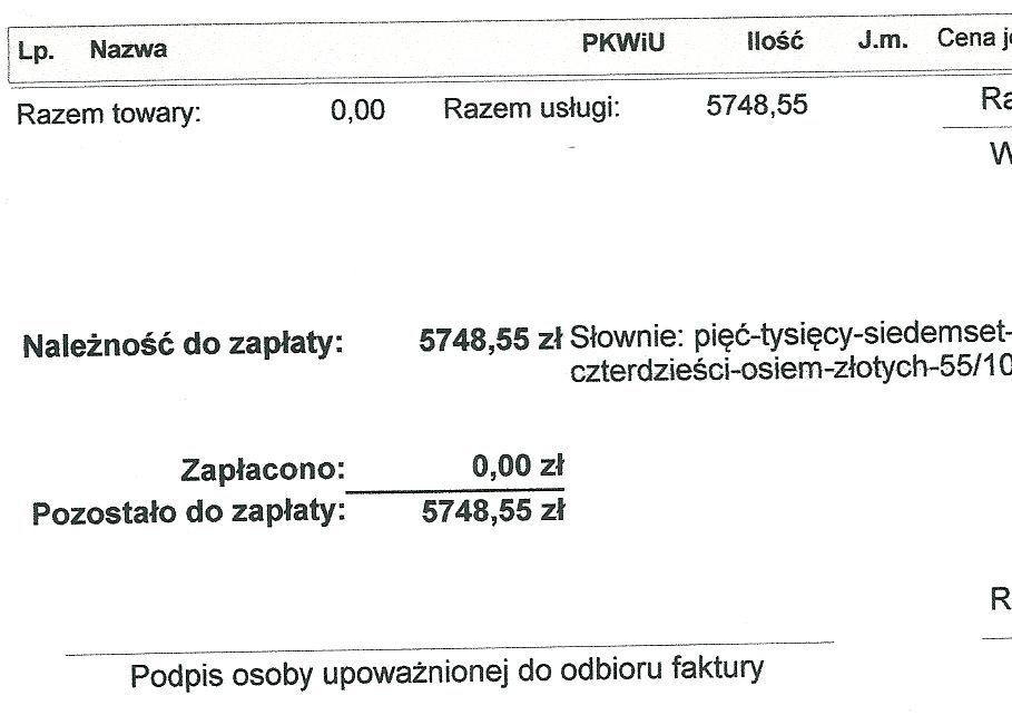 Wirtualne łapki na leczenie i utrzymanie kotów!