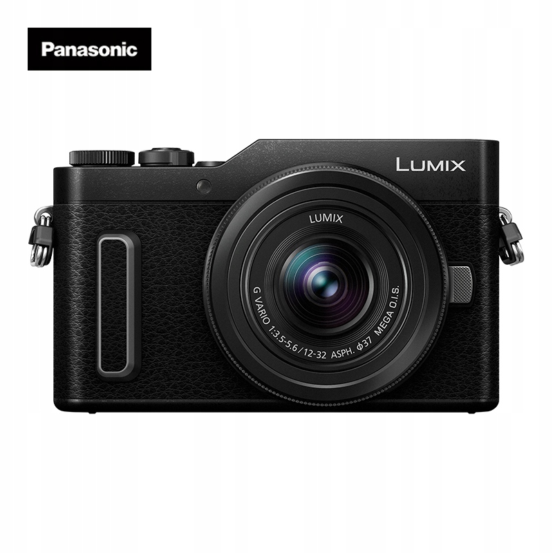 Cyfrowe zdjęcie Panasonic GF10K