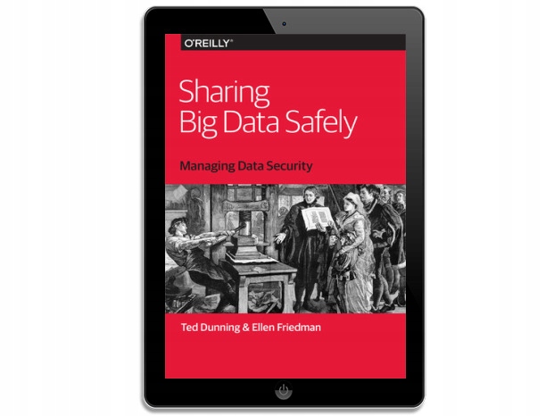 Sharing Big Data Safely. Managing Data Security