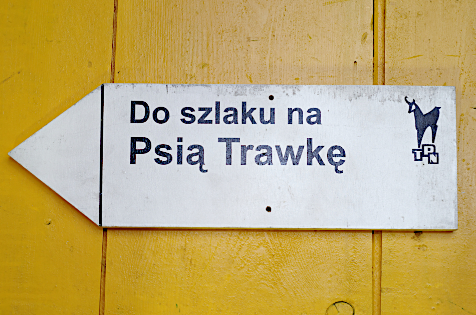 Tabliczka kierunkowa TPN: Do szlaku na Psią ... #1