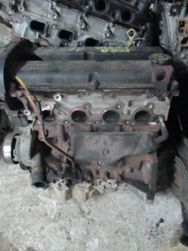 FORD FOCUS MK1 SILNIK 1.6 16V ZETEC 7692136541