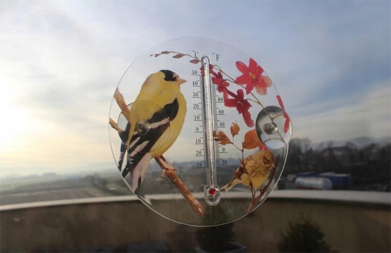 Termometr Zewnętrzny Ozdobny OkrĄgły 16,5cm Ptaki