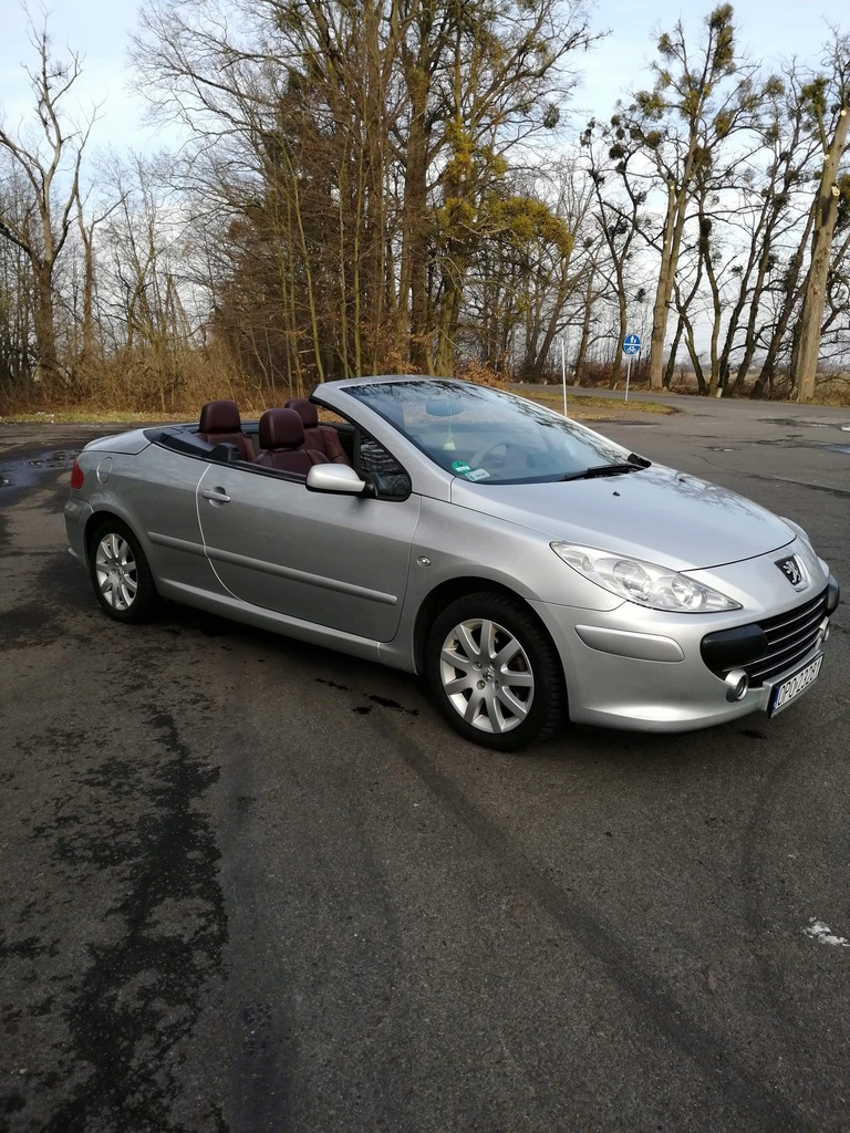 Peugeot 307cc Cabrio (2.0 benzyna +LPG)