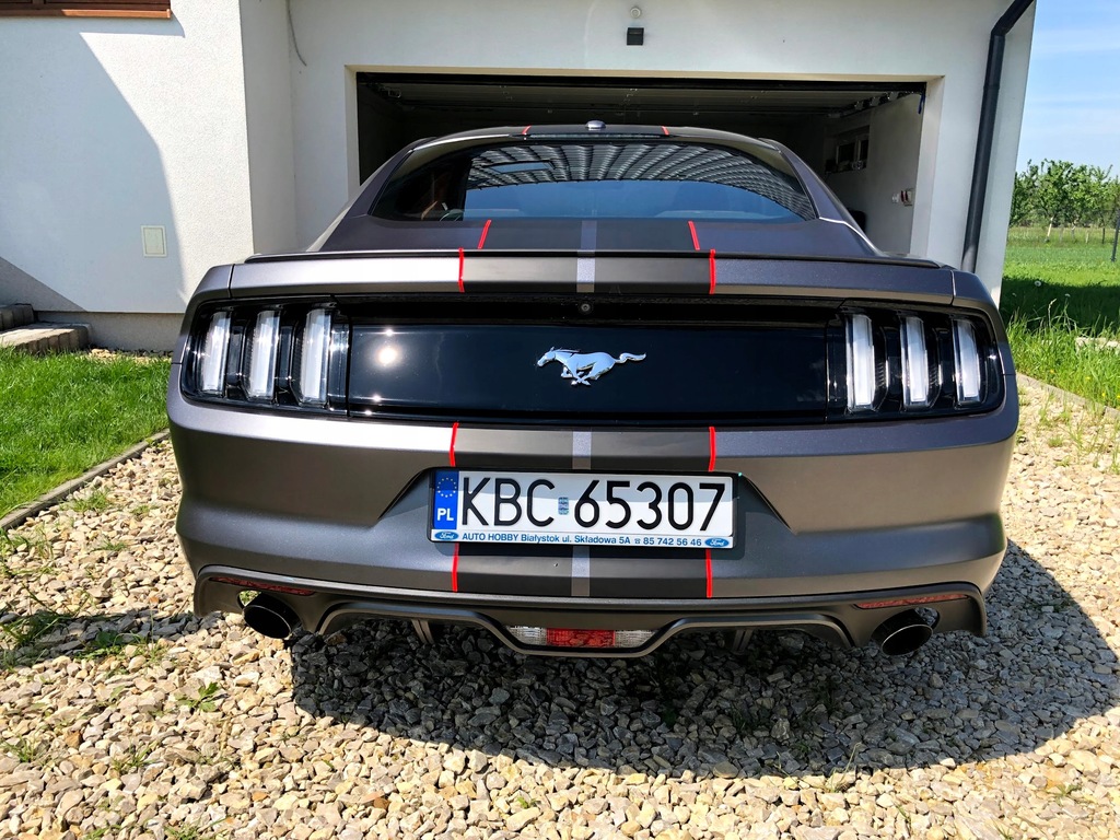 Купить MUSTANG 2.3 EcoBoost, вложено и застраховано: отзывы, фото, характеристики в интерне-магазине Aredi.ru