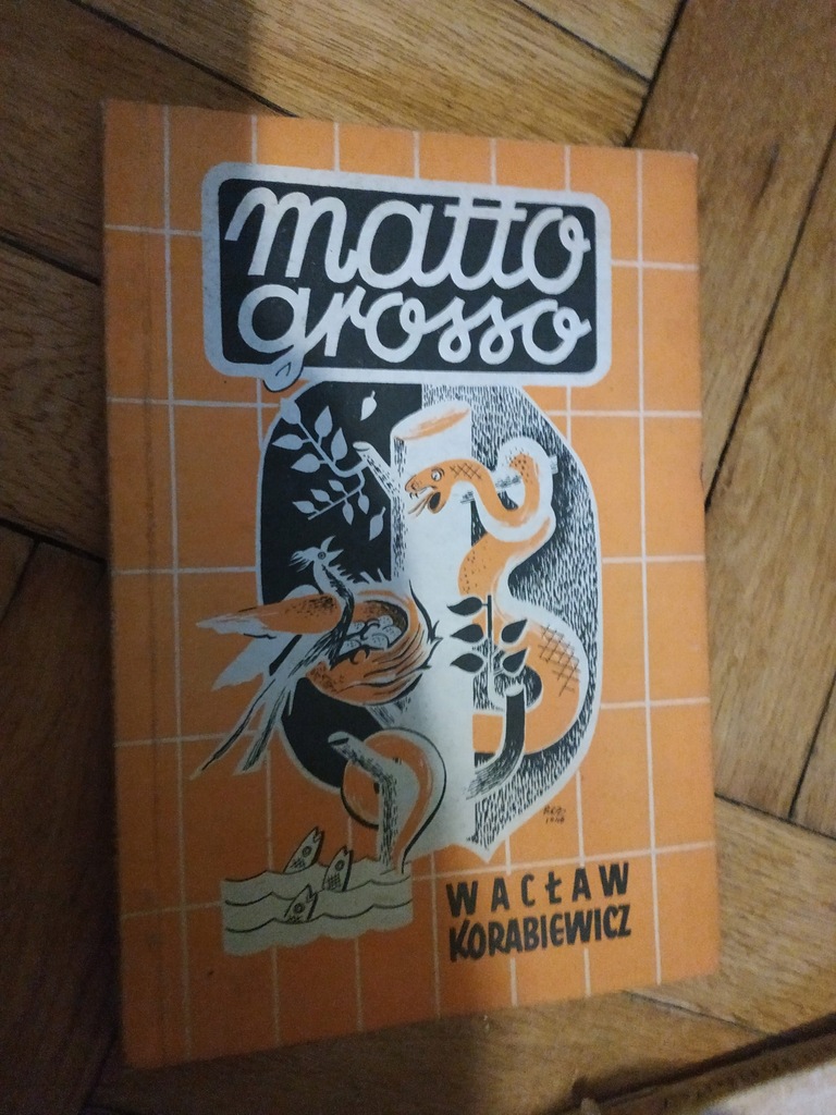Matto Grosso - Waclaw Korabiewicz