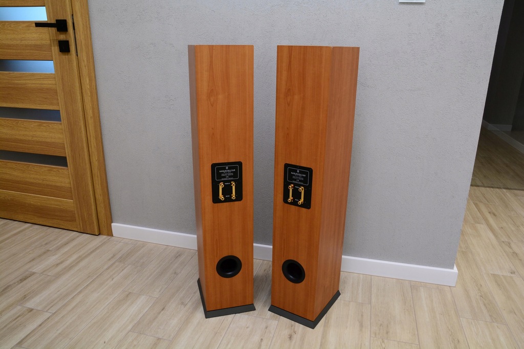 Kolumny Stereo AudioVector THE CSeries C2 MKII 11384575010