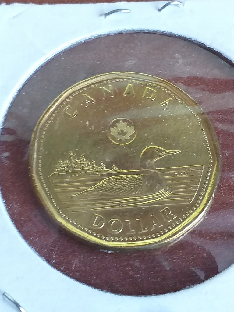 1 $ DOLAR 2016 CANADA Menniczy