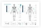 Plakat szkielet człowieka