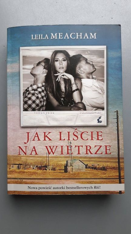 Książka Jak liście na wietrze  Kocia Łapka