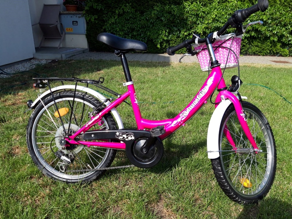 rower teamraider różowy shimano koła 20 
