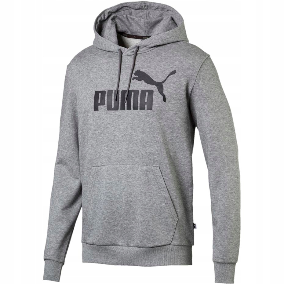 Bluza męska Puma Essentials Hoody TR szara 851745