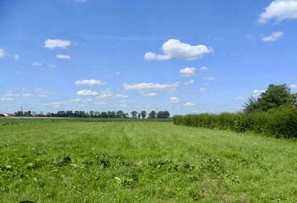 Działka, Katowice, 2008 m²