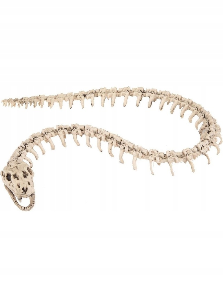 Szkielet Węża Dekoracja Kościotrup Wąż Halloween