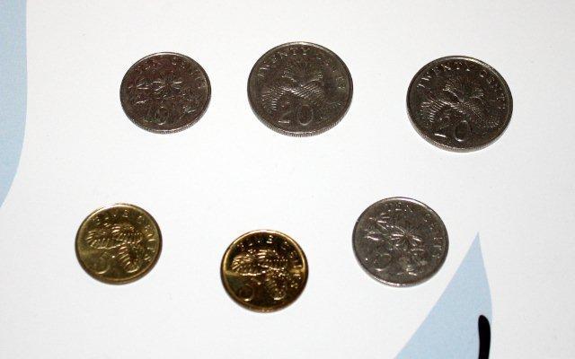 Sześć monet singapurskich