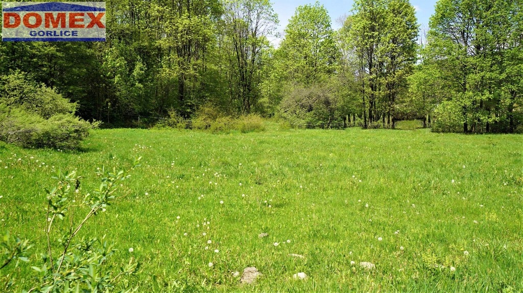 Działka, Nowica, 1500 m²