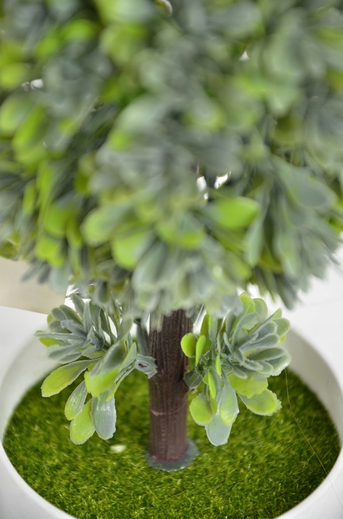 sztuczne kwiaty w doniczce jak żywe bukszpan domu - 8198306553