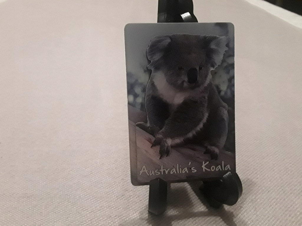 Magnes na lodówkę Koala Australia sklejka